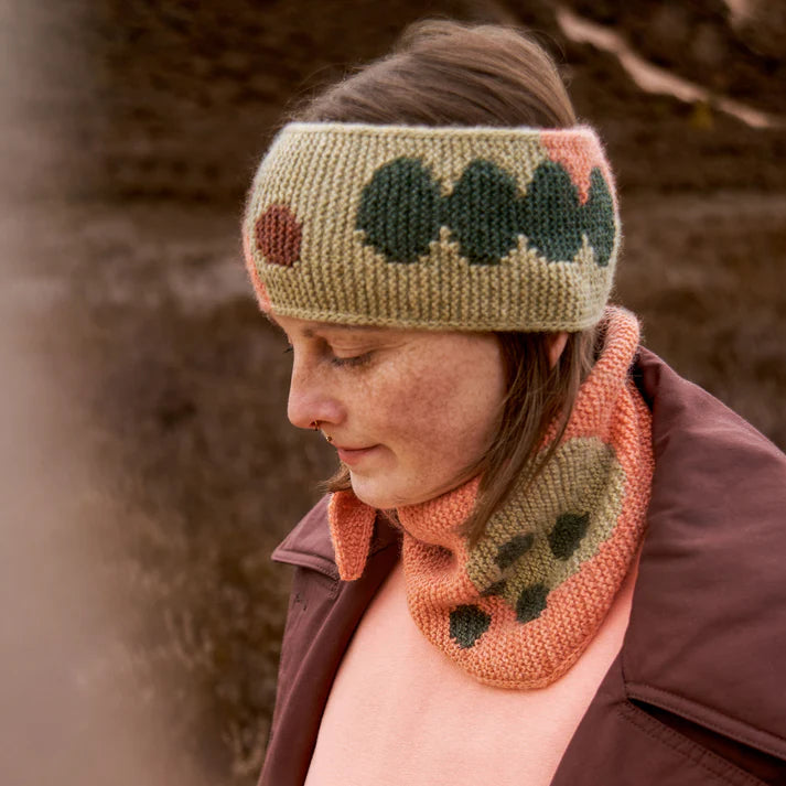 Intarsia Knits by Anna Husemann