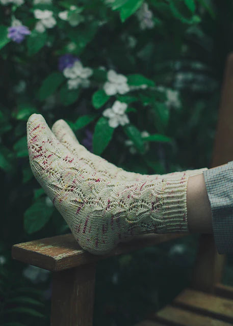 Amirisu Assemblage Volume 1