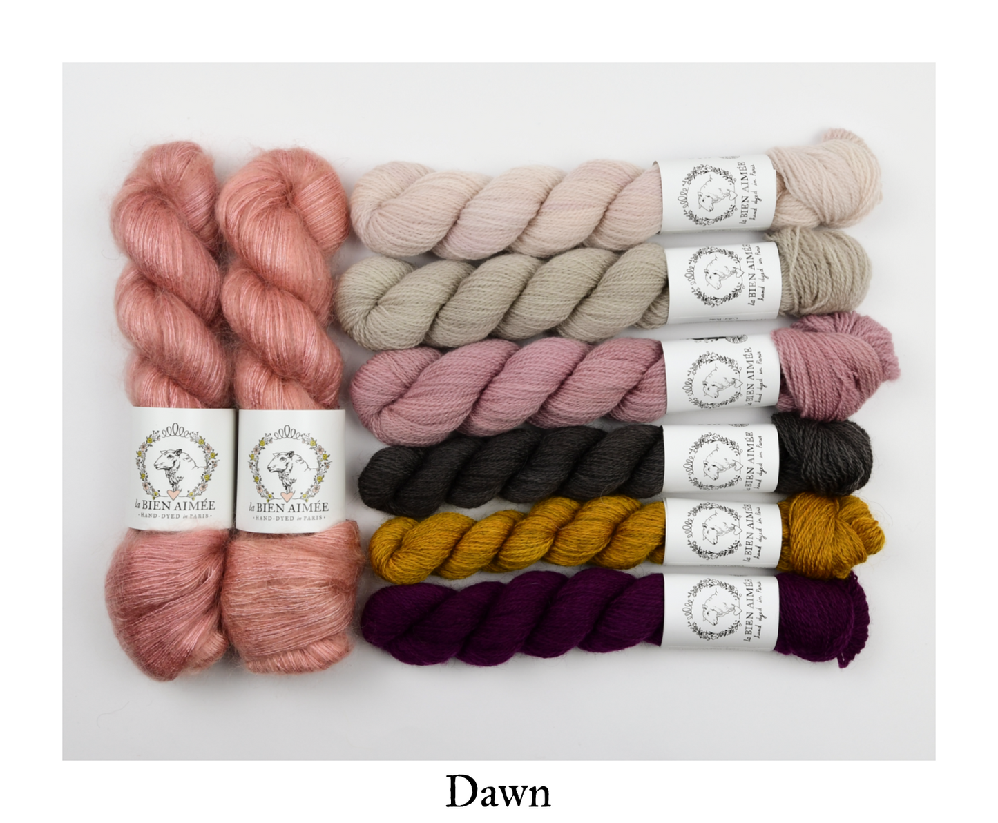 Punkt Bundle