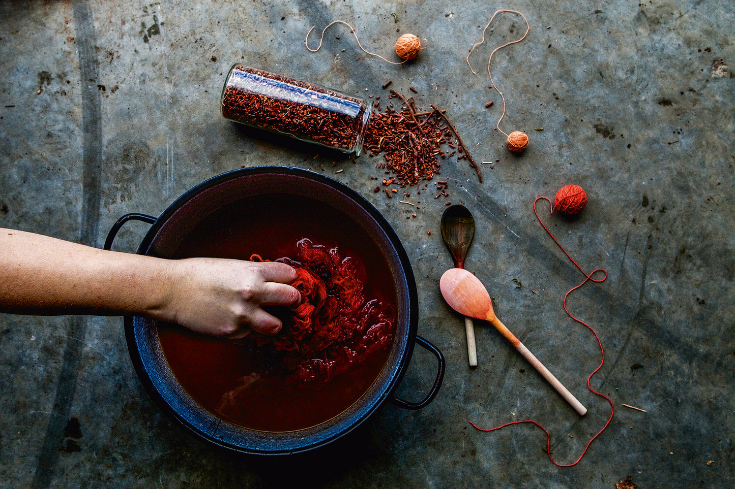 The Colours of Nature