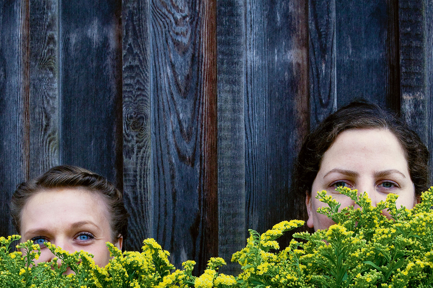 The Colours of Nature