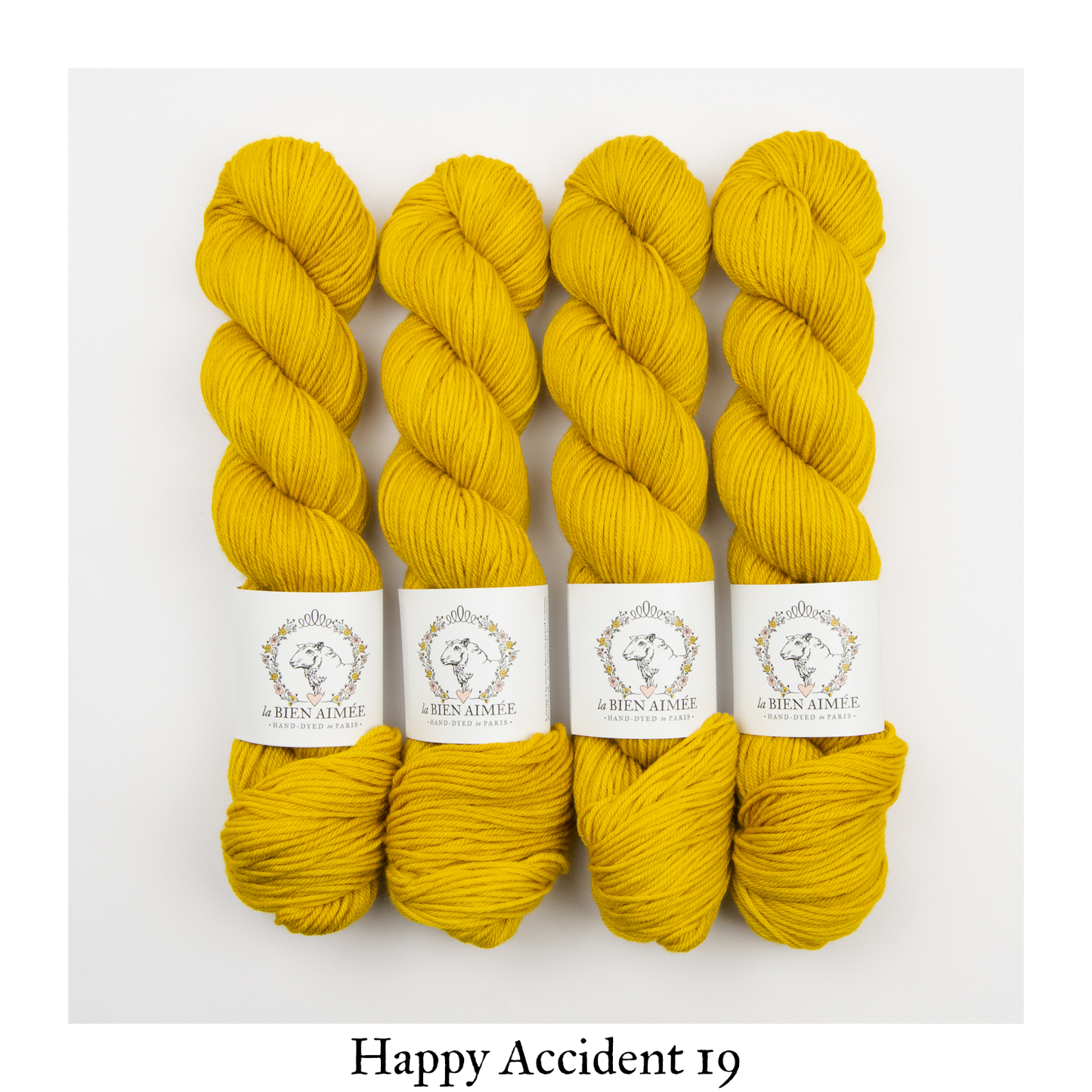 Merino DK Happy Accidents