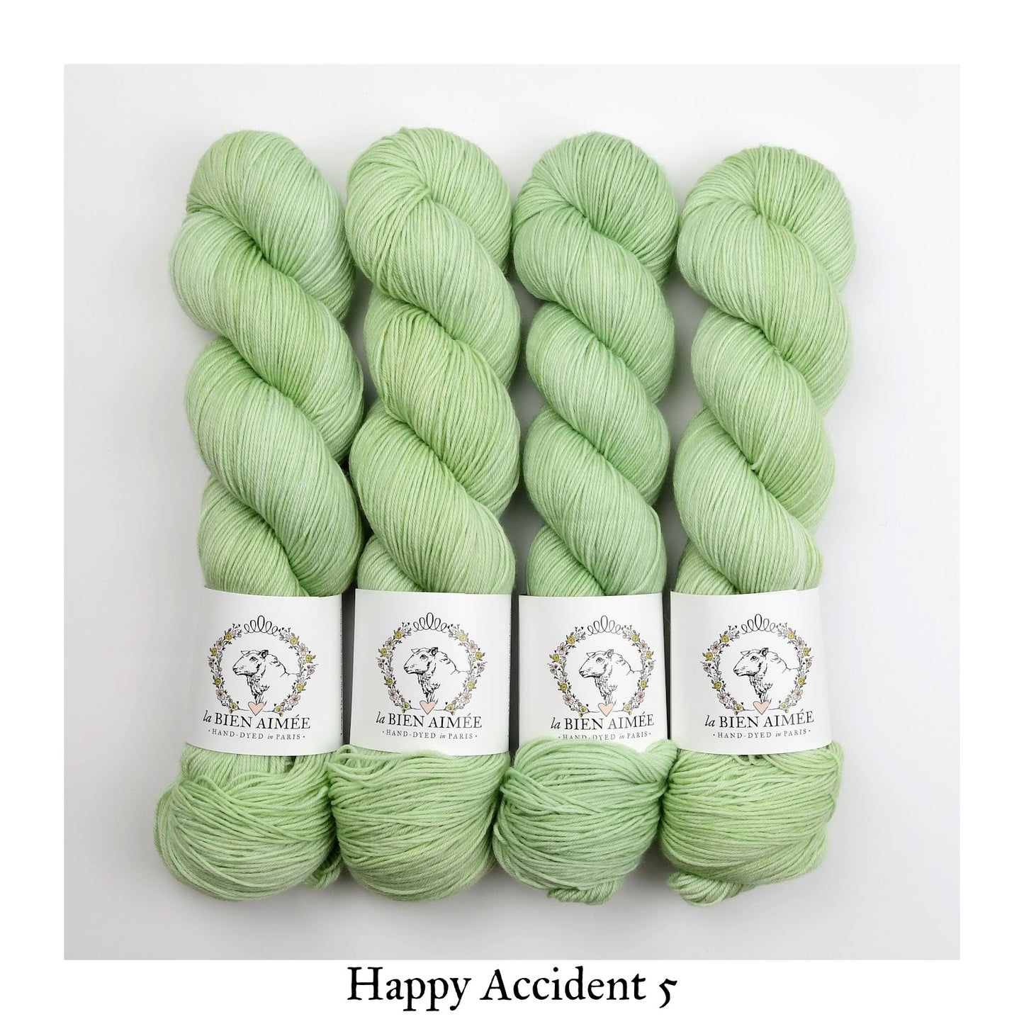 Merino Super Sock Happy Accidents