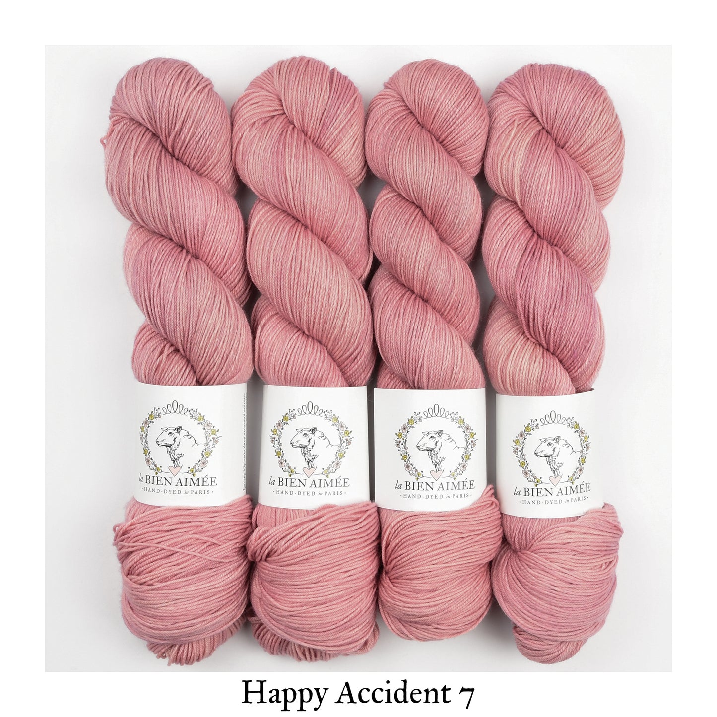 Merino Super Sock Happy Accidents