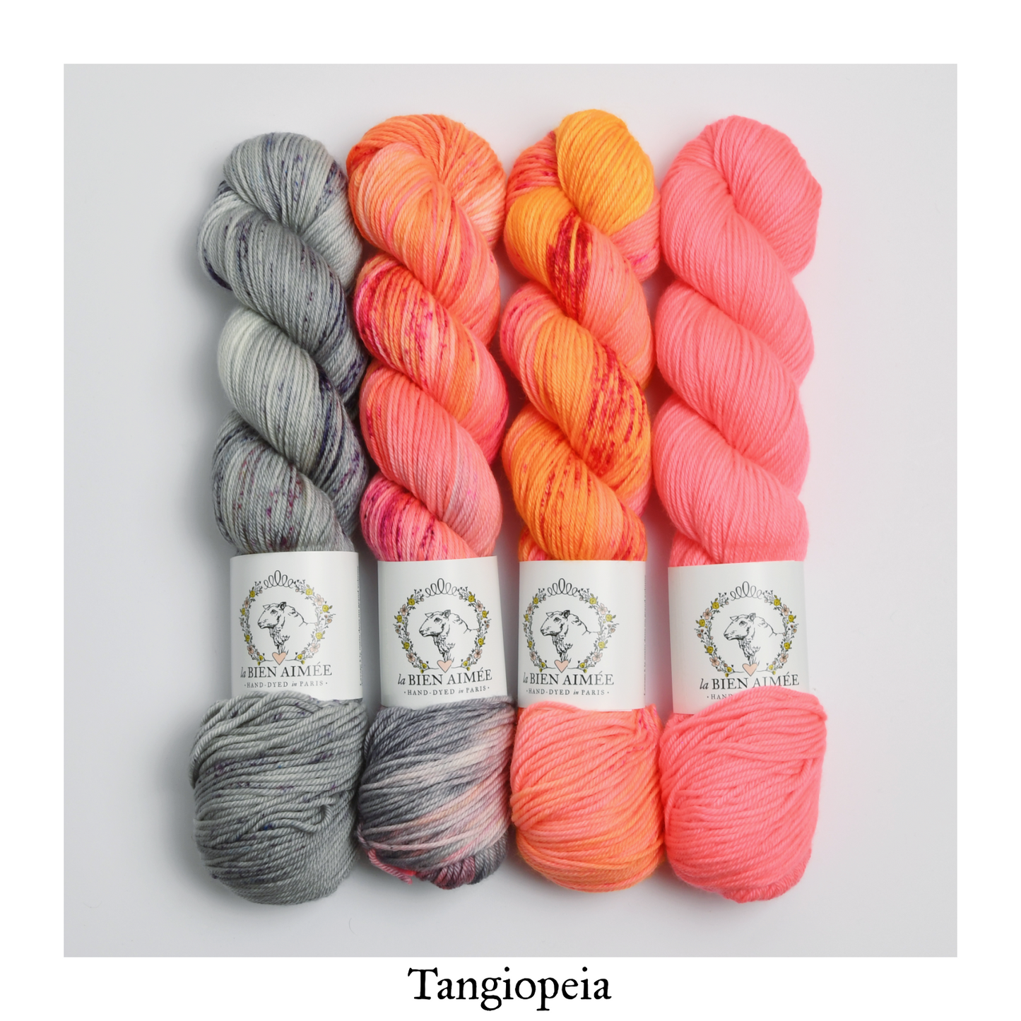 Nouvelle Vague Bundle