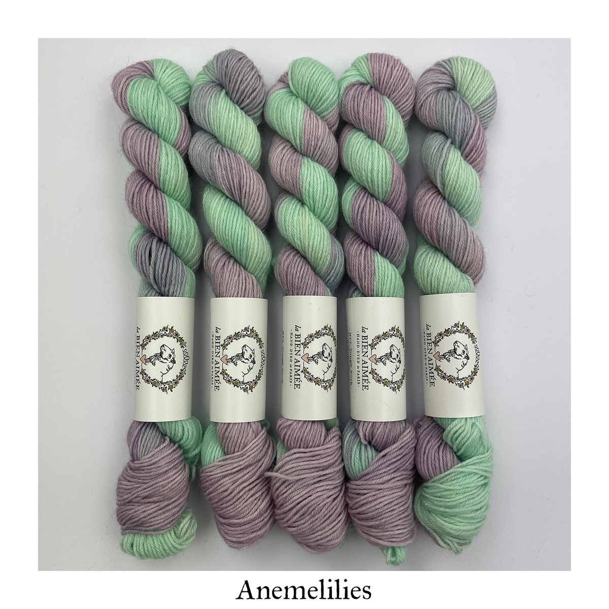 BFL Tough Sock 20g — Anemelilies