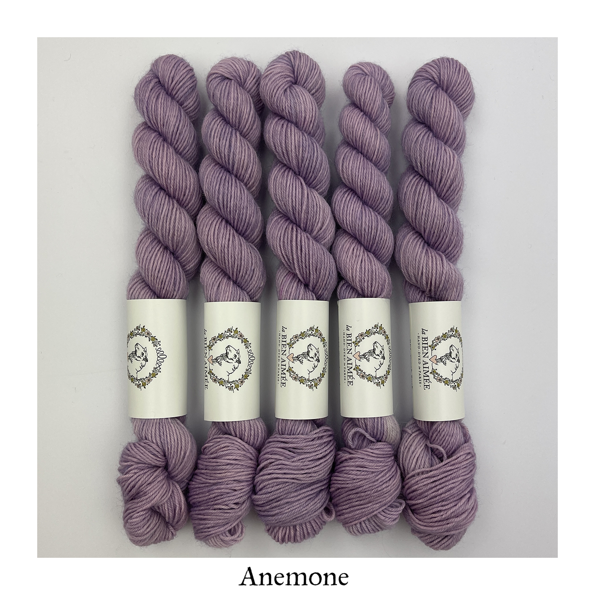 BFL Tough Sock 20g – 手染め糸 Fingering – La Bien Aimée