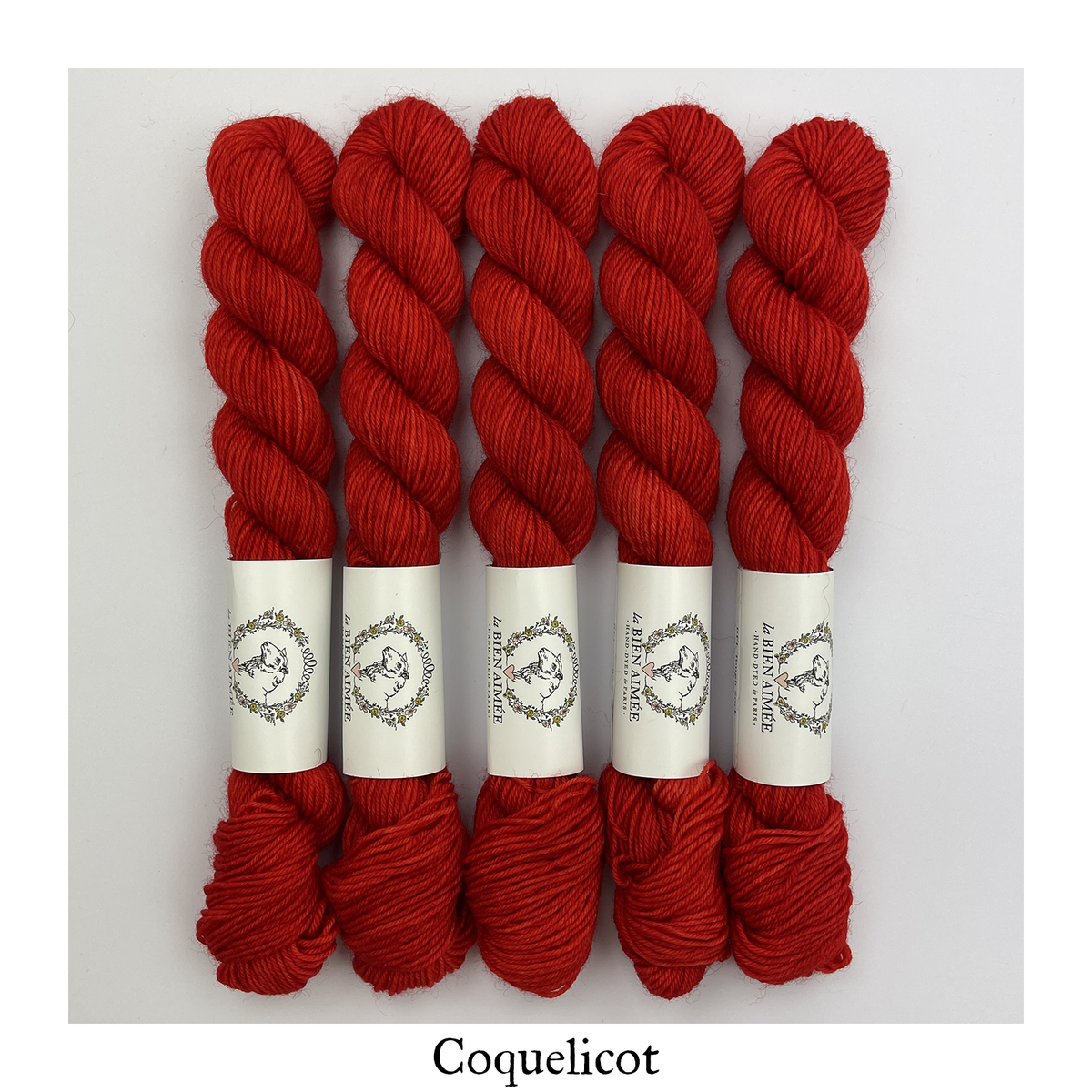 BFL Tough Sock 20g — Coquelicot