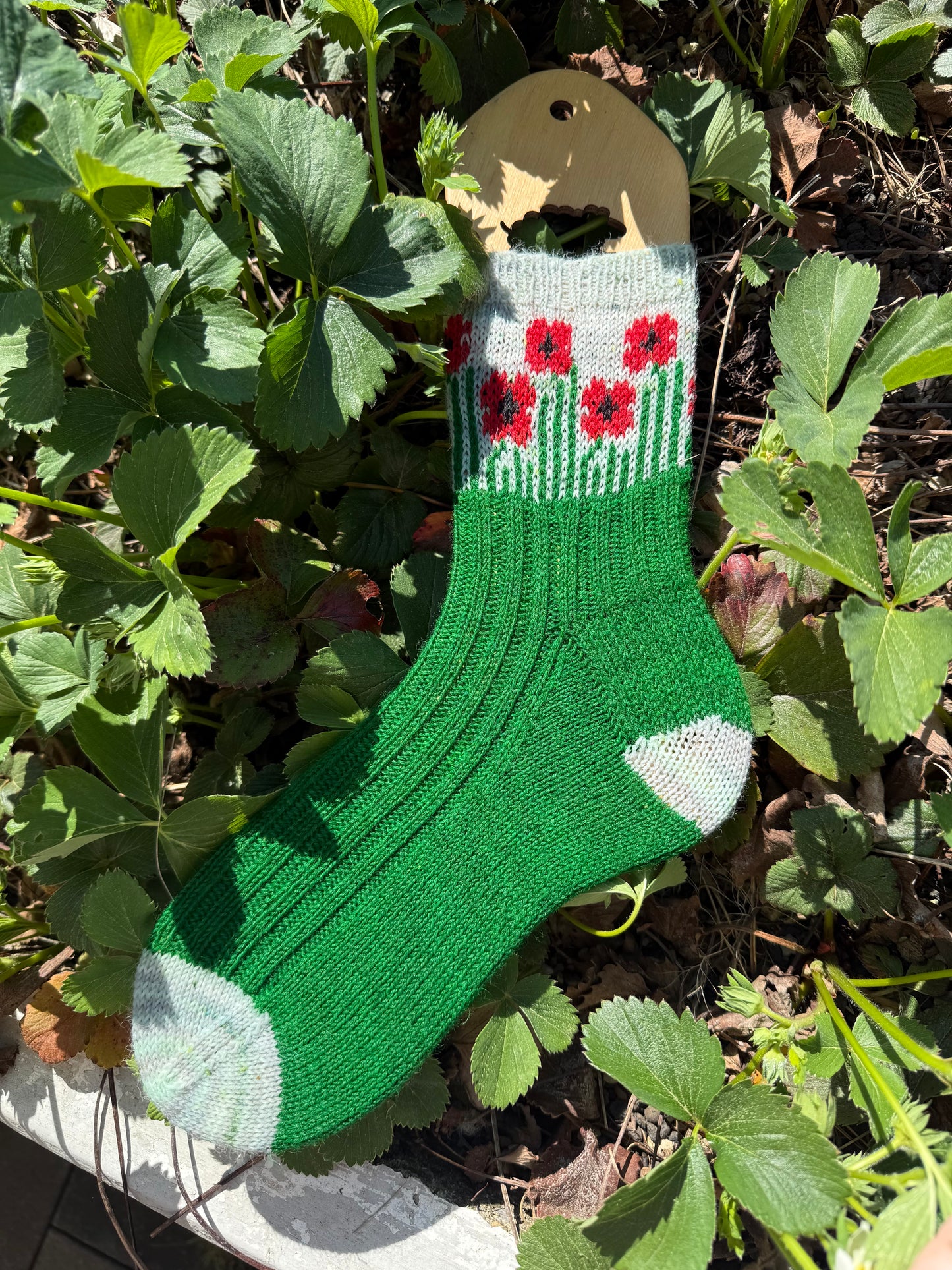 Field of Poppies sock set