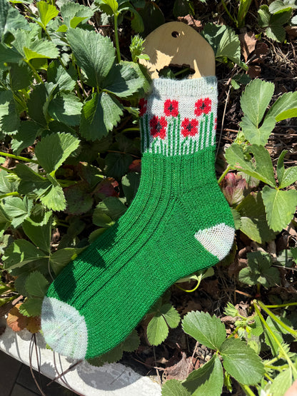 Field of Poppies sock set