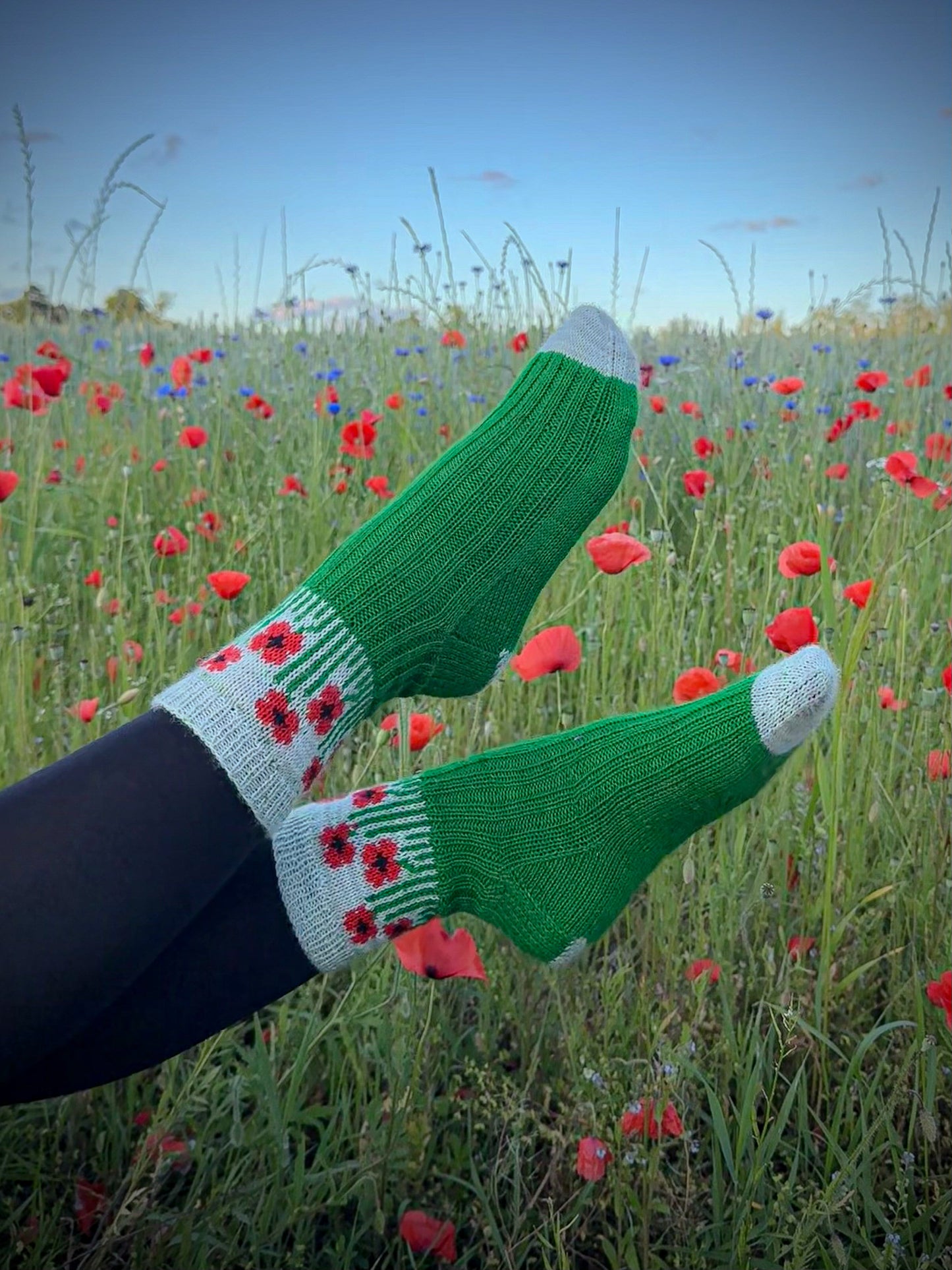 Field of Poppies sock set
