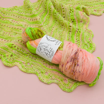 Imagineur Shawl Bundle