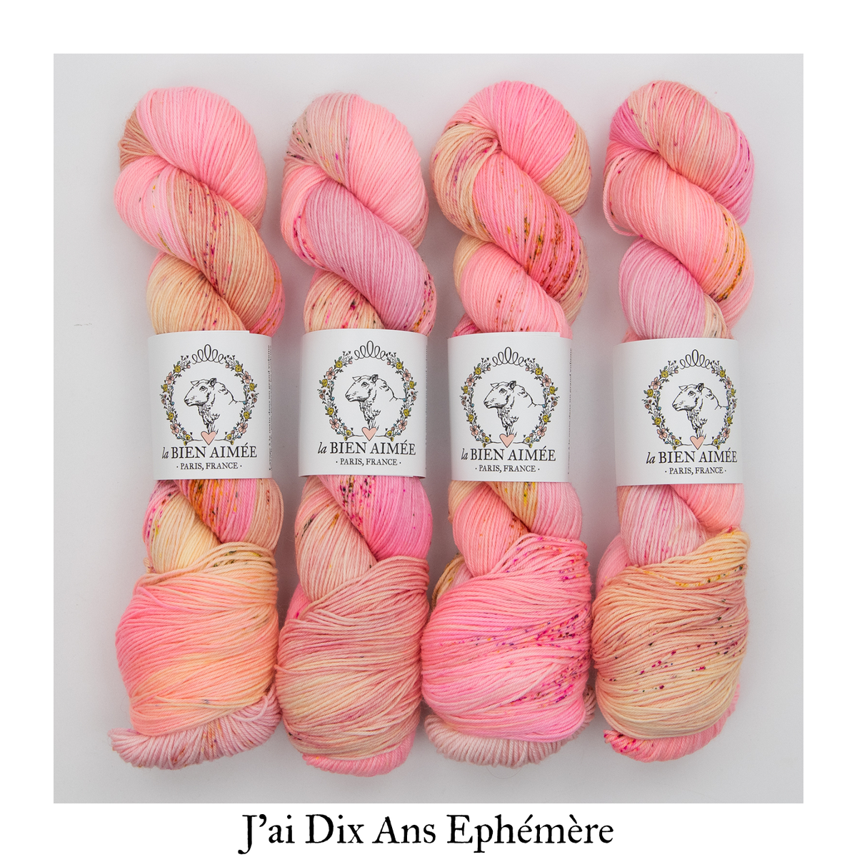 Merino Super Sock Éphémère — J'ai Dix Ans Éphémère