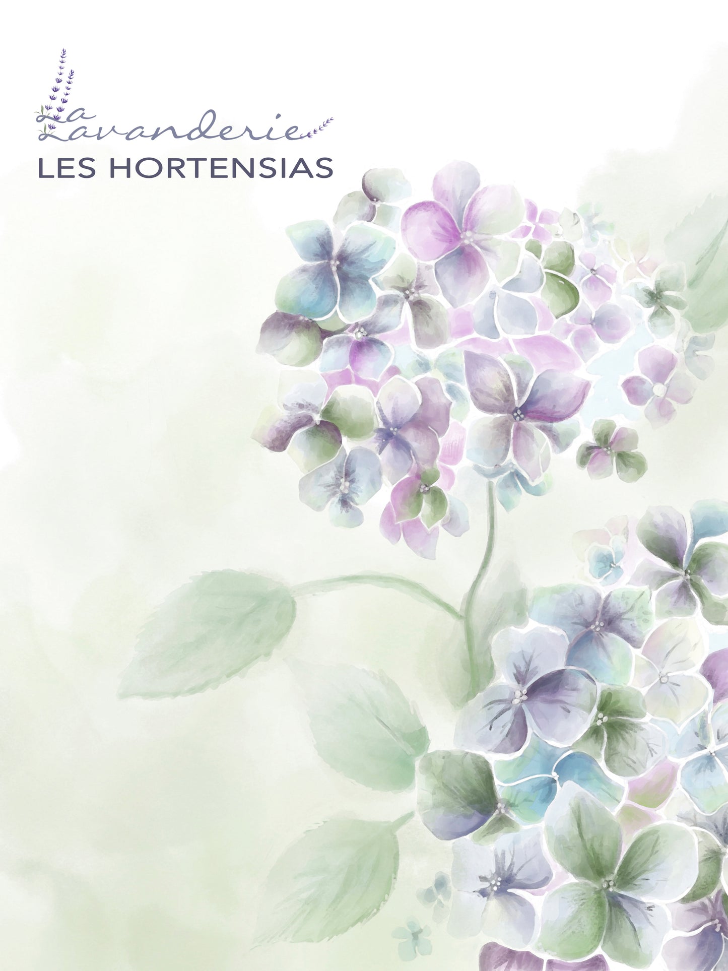 La Lavanderie Notions