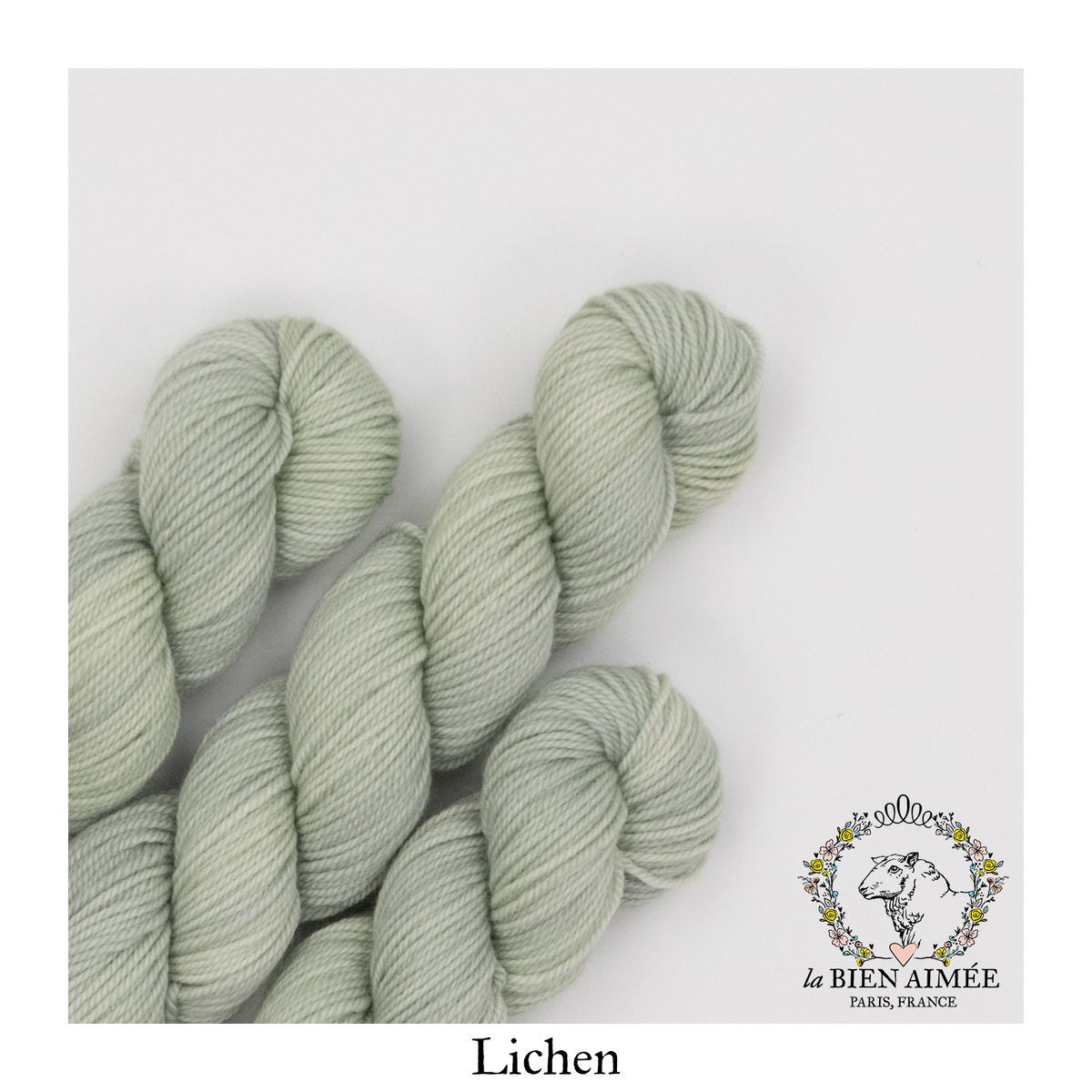 Sport Nouveau 50g — Lichen