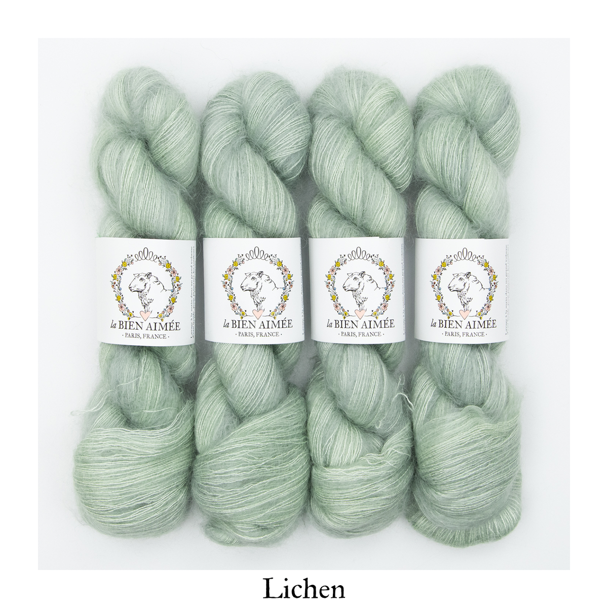 Soyeux — Lichen