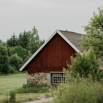 Observations by Lotta H Löthgren