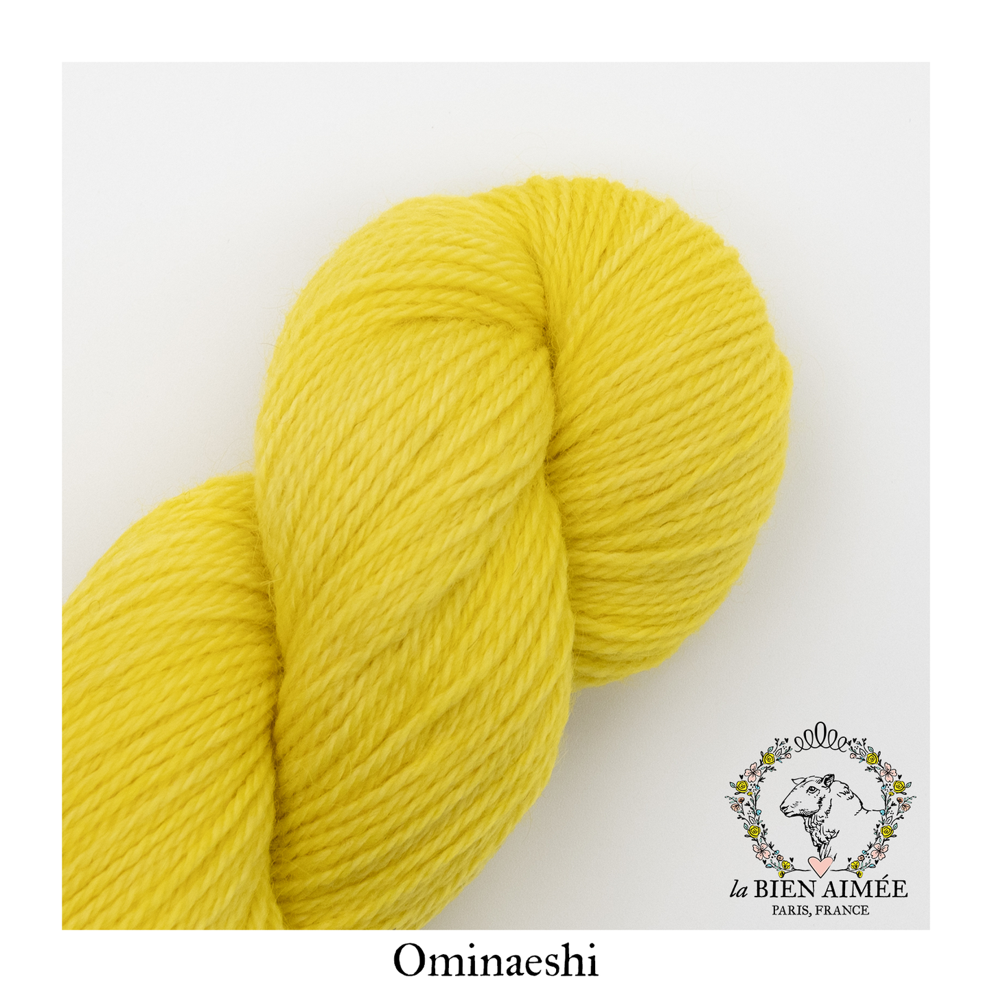 Anemoia Shawl Bundle