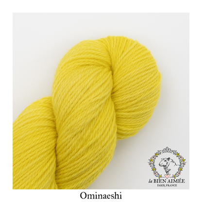 Anemoia Shawl Bundle