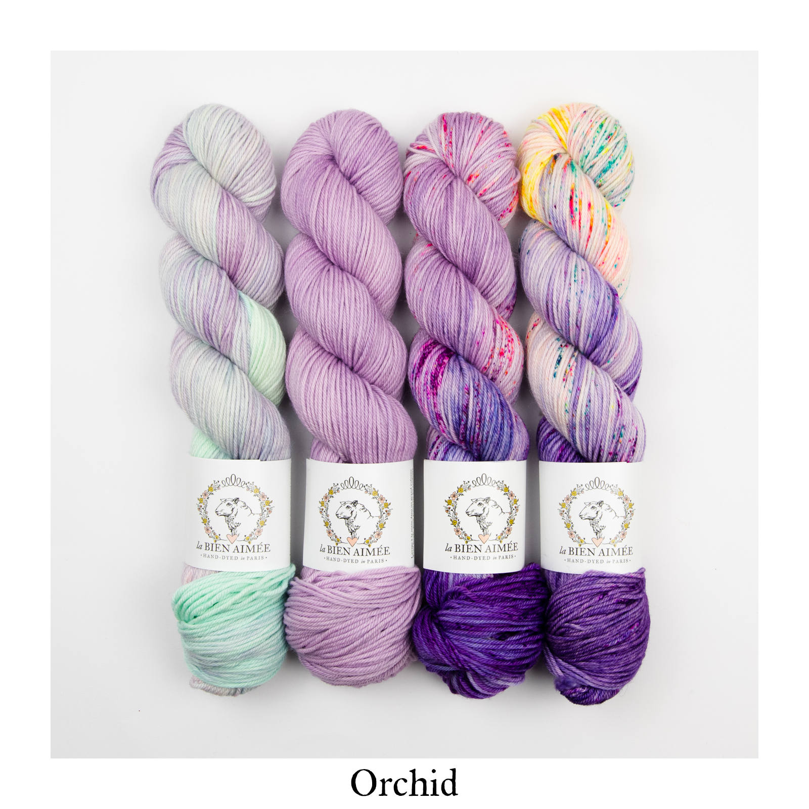 4 Skein Fade Bundle - Merino DK – La Bien Aimee