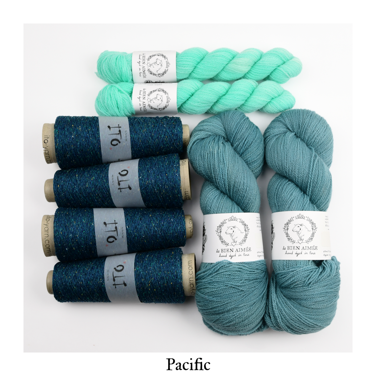 Reflected Bundle — Pacific