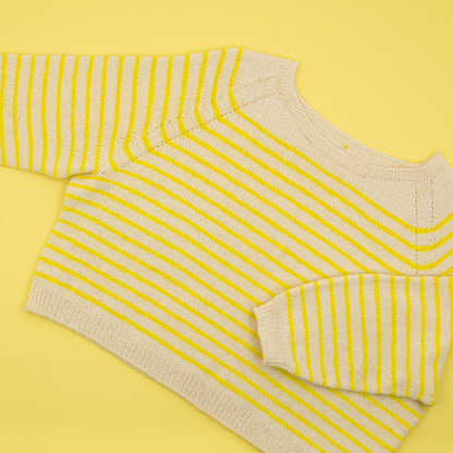 Wannabe Sweater bundle