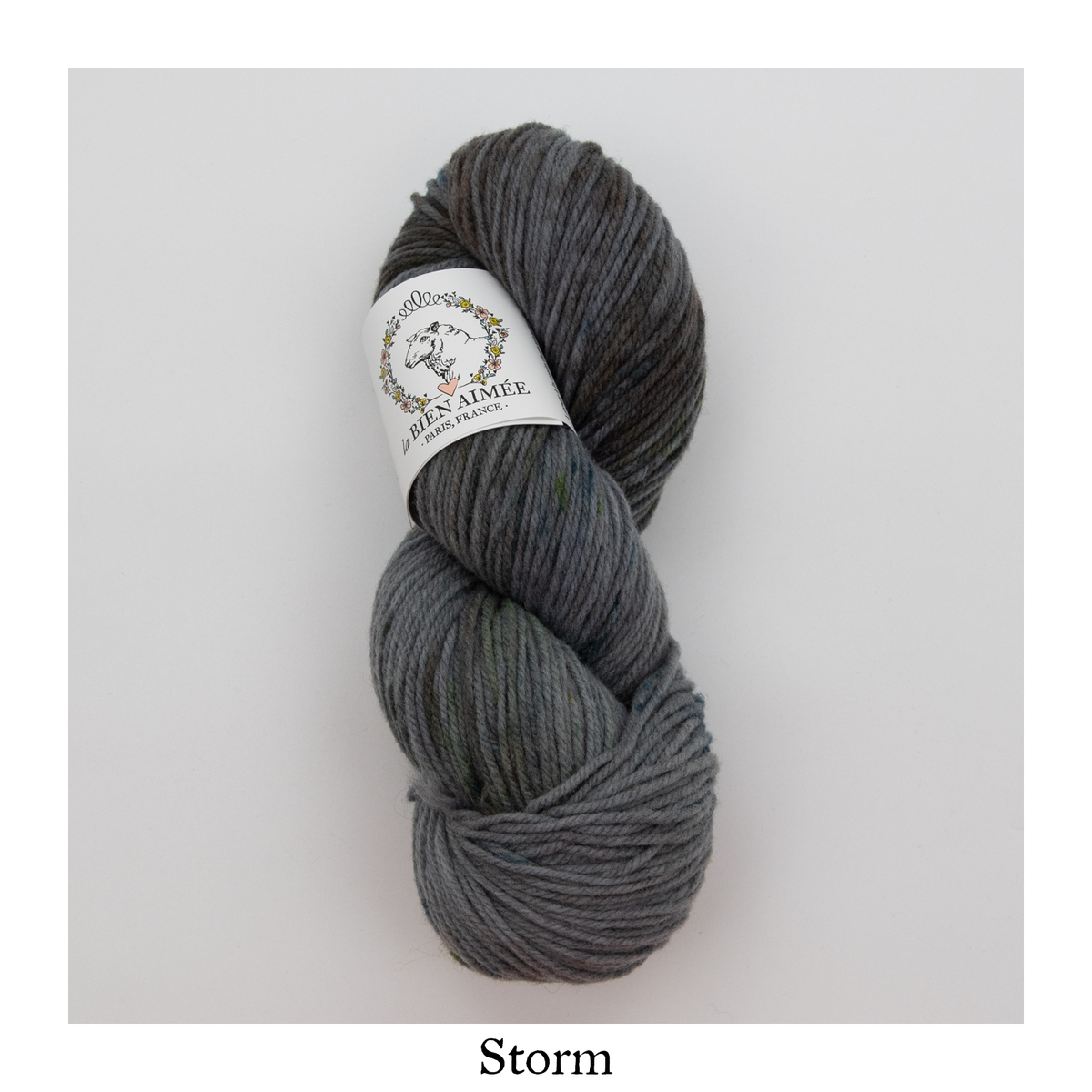 La Bien Aimée Gilliatt — Storm