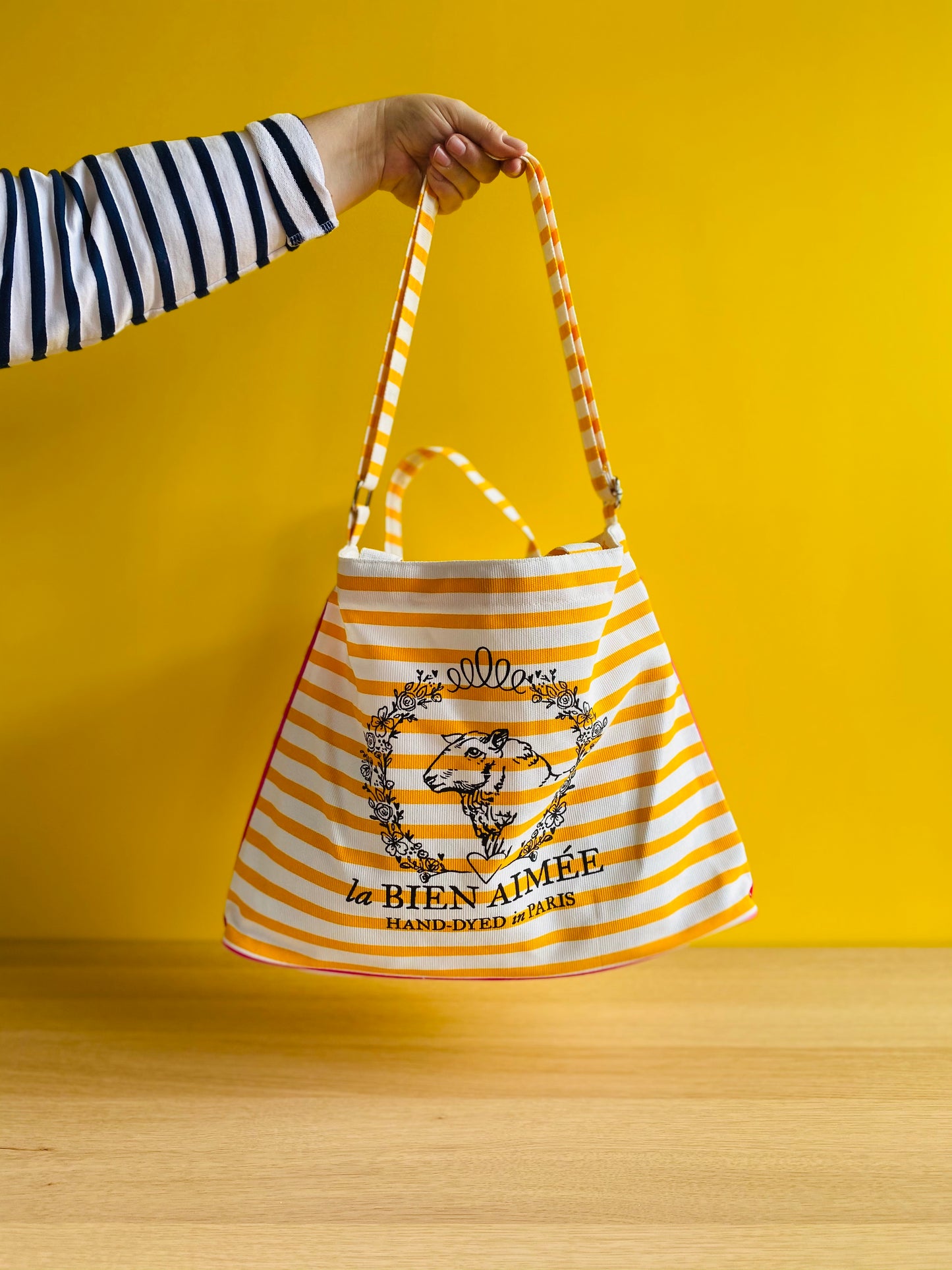 Aimée's Striped Bag