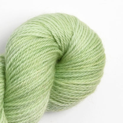 Wensley Worsted