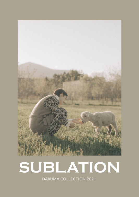 Sublation